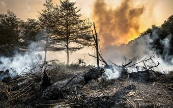 Оценка ущерба после стихийного бедствия в Калининграде: отчет оценщика